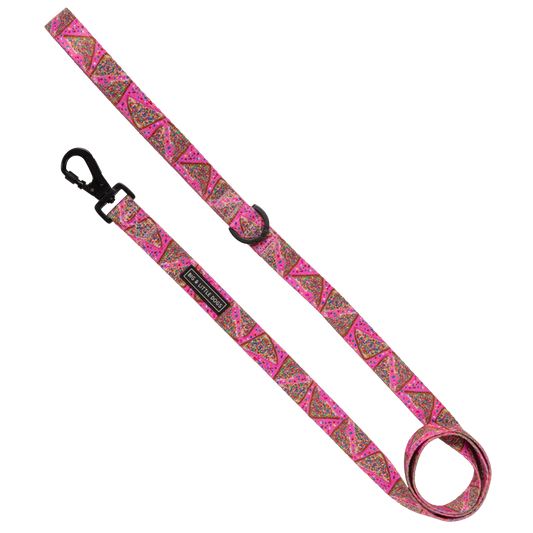 DOG LEASH: Pink Fairy Bread: 2.5cm Wide