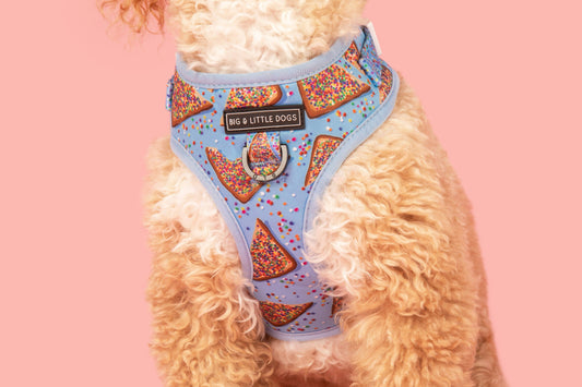 ADJUSTABLE DOG HARNESS: Blue Fairy Bread