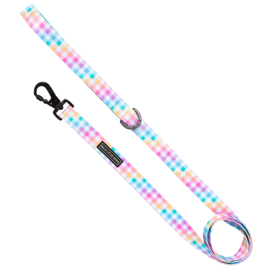 DOG LEASH: Rainbow Gingham: 2.5cm Wide