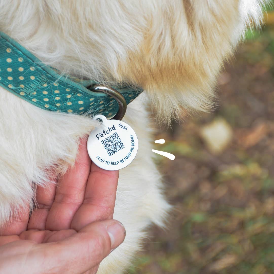 Smart Pet Tag and Passport