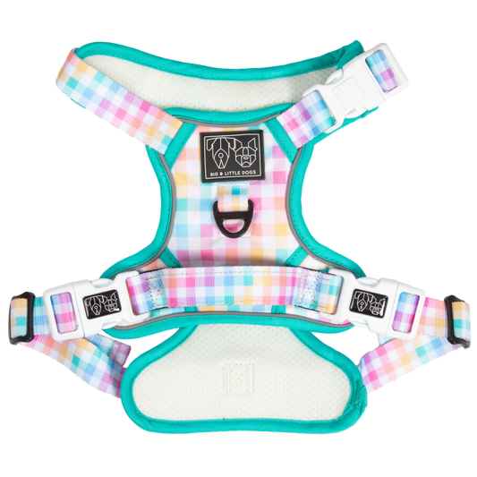 THE ALL-ROUNDER DOG HARNESS: Rainbow Gingham