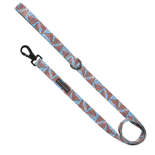 DOG LEASH: Blue Fairy Bread: 1.5cm Wide