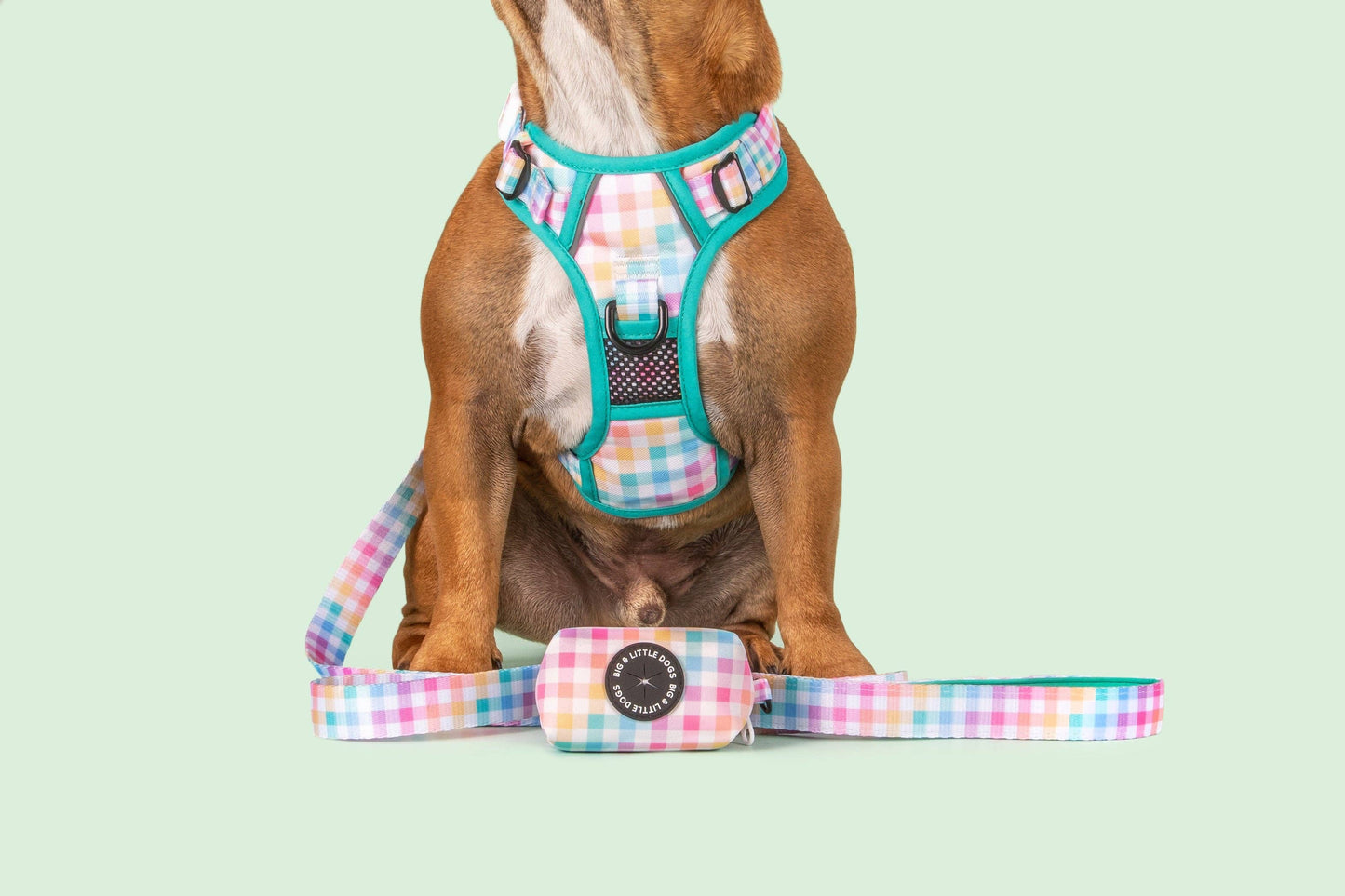 DOG POOP BAG HOLDER: Rainbow Gingham